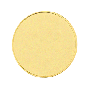 Metal Blank Coin (20/50pcs)