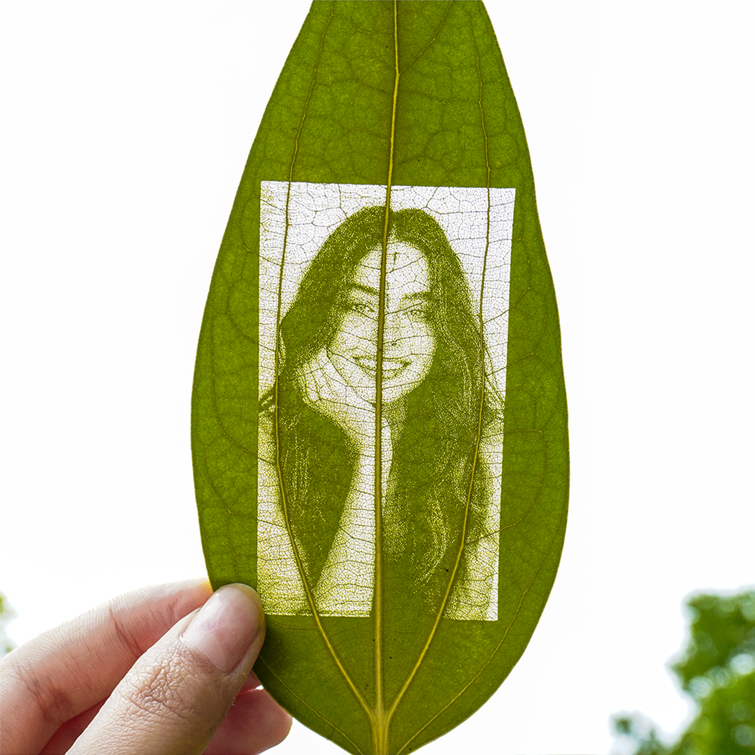 Foglie per incisione laser (10 pezzi)